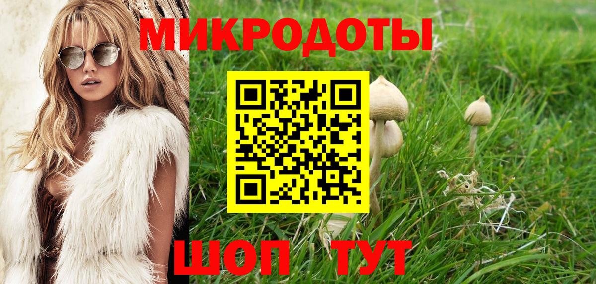 Топки  Псилоцибиновые грибы мухоморы  Вход с VPN 